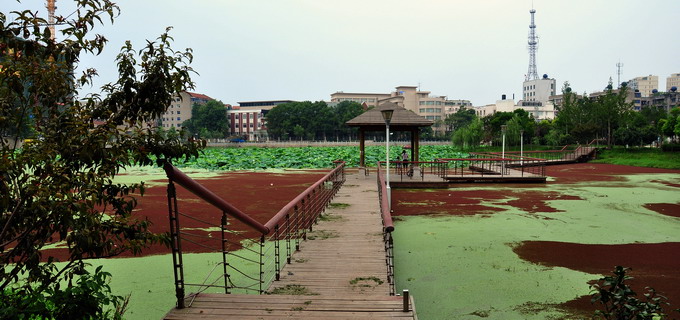 Ƭ 015.jpg