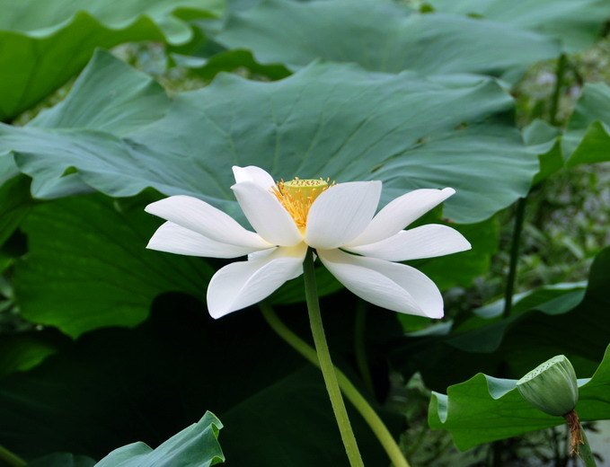 Ƭ 003.jpg