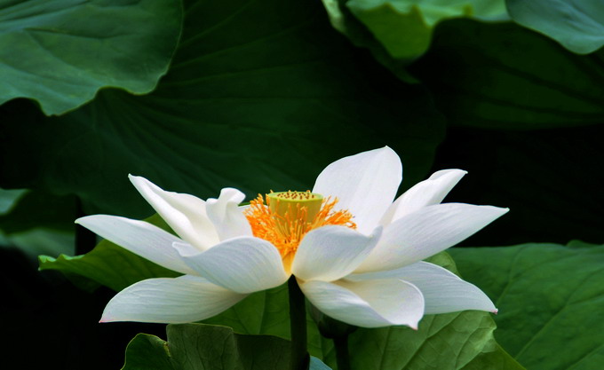Ƭ 041.jpg