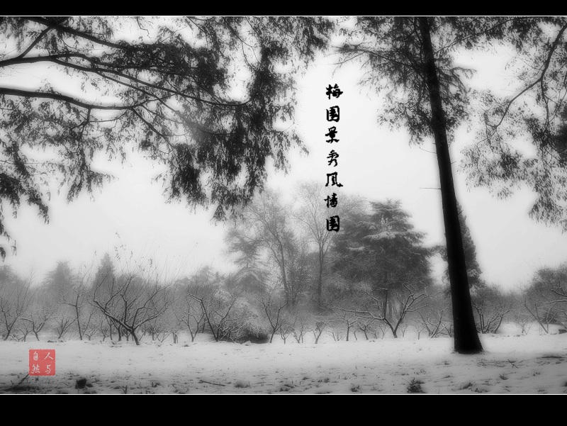 img_5750h.jpg