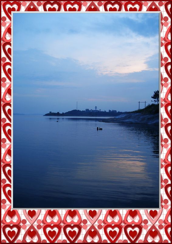 neo_img_dsc02486.jpg