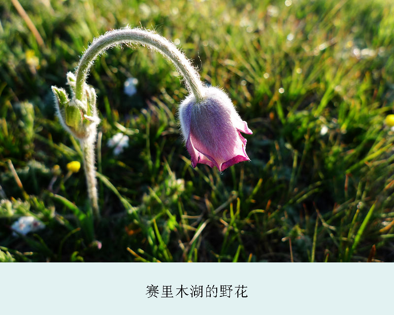 p1020107.jpg