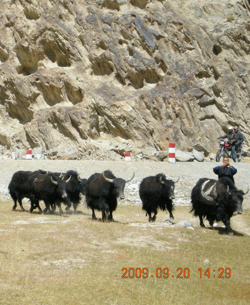 dscn4090.jpg