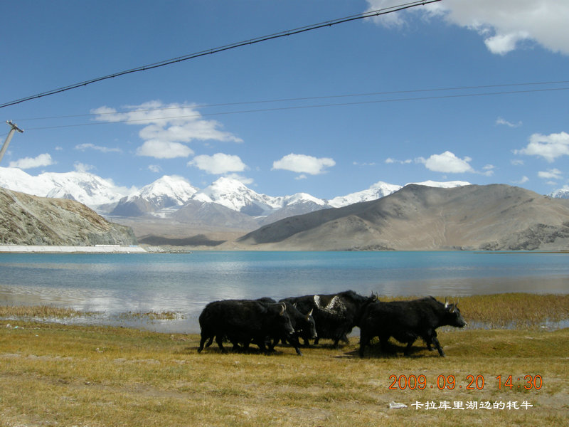 dscn4091.jpg