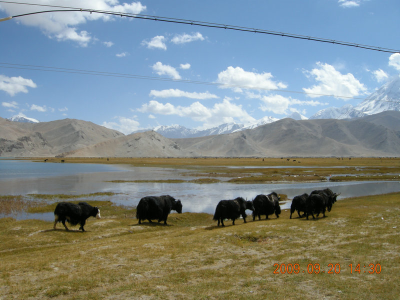 dscn4092.jpg