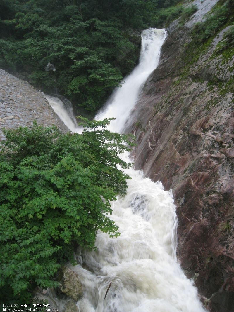 moto0123578.jpg