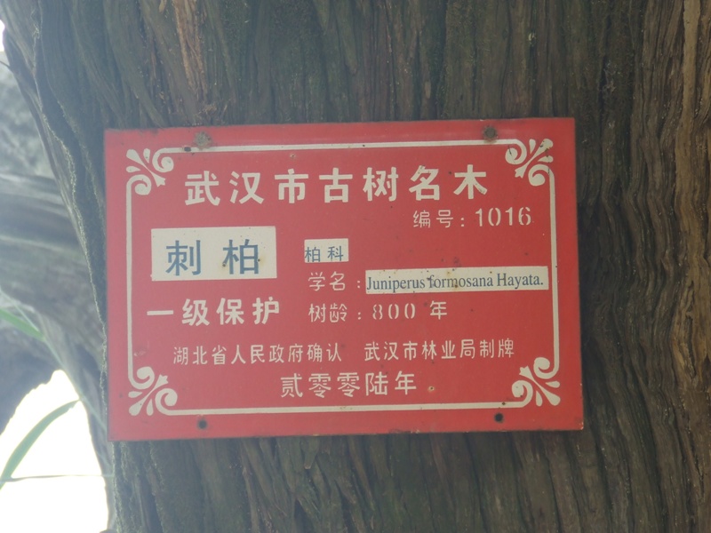 dscf2063.jpg