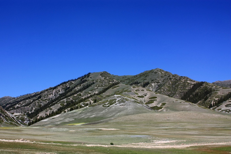 2imga_5101.jpg