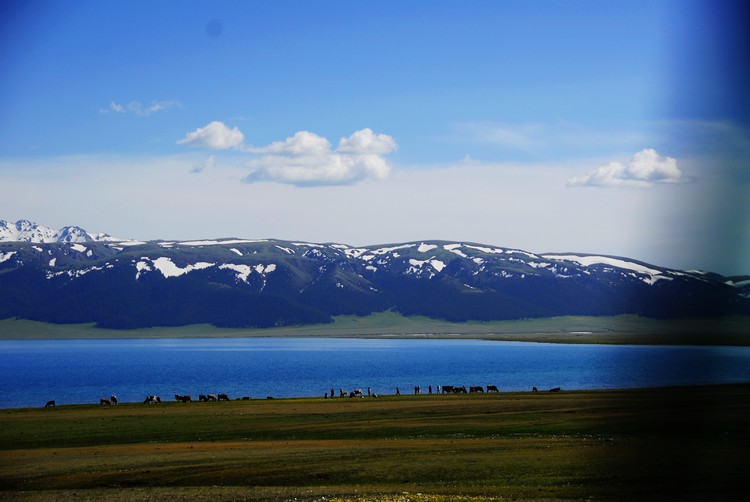 _dsc0383.jpg