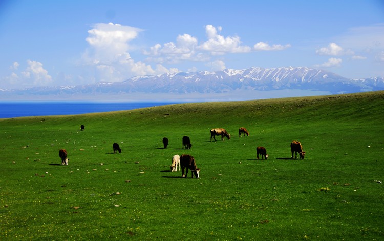 _dsc0360.jpg