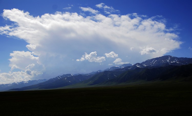 _dsc0385.jpg