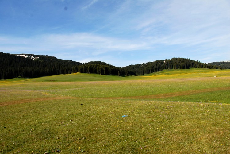 dsc_0733.jpg