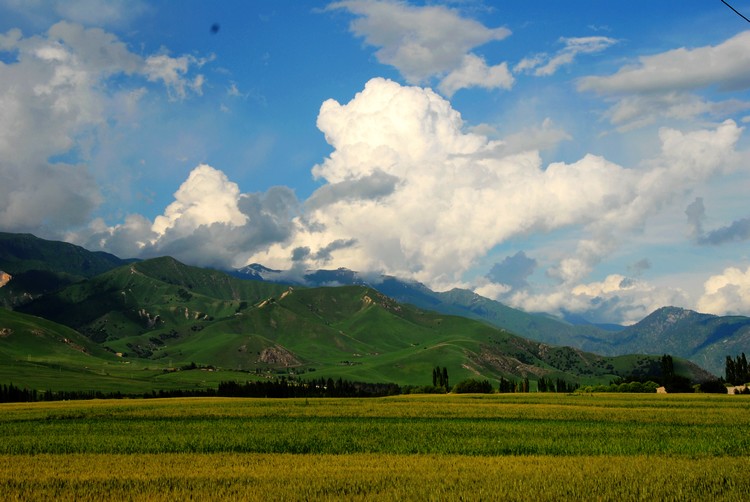 dsc_0753.jpg