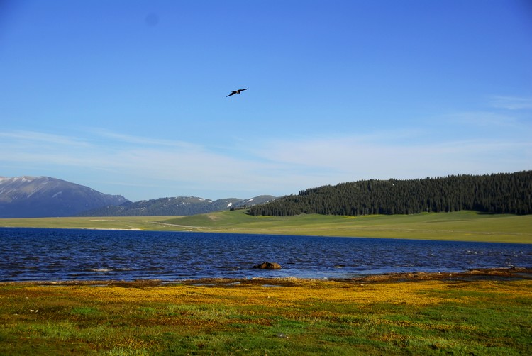_dsc0587.jpg