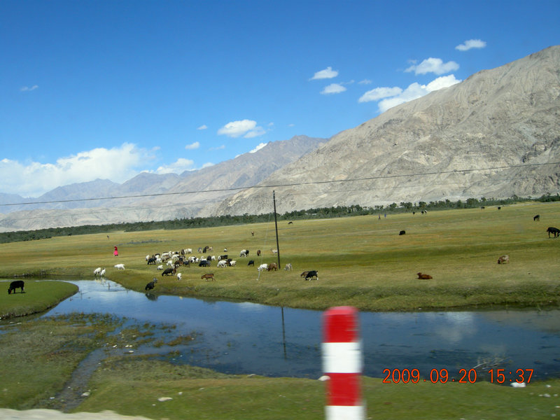 dscn4139.jpg