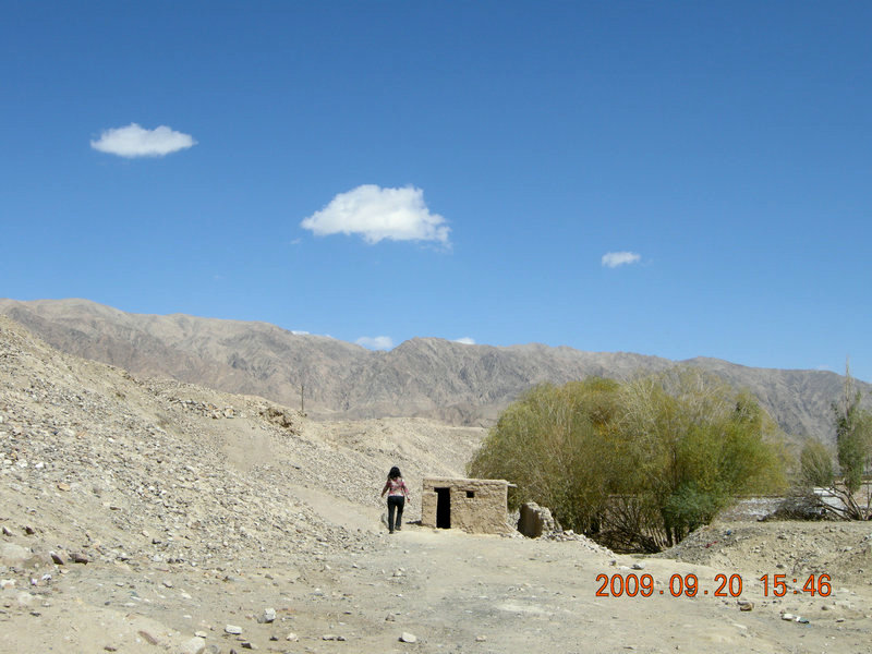 dscn4146.jpg