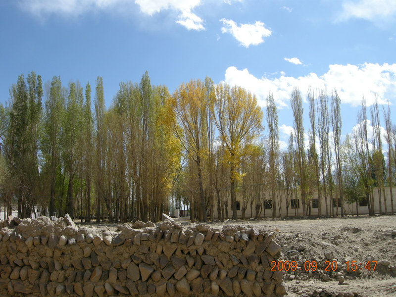 dscn4147.jpg