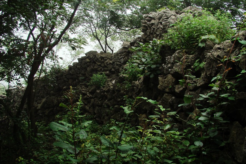 dsc07493.jpg