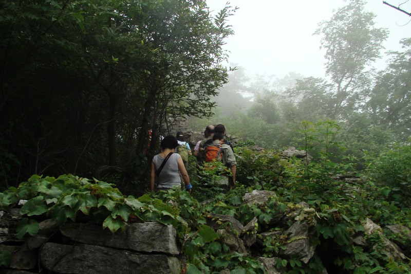 dsc07495.jpg