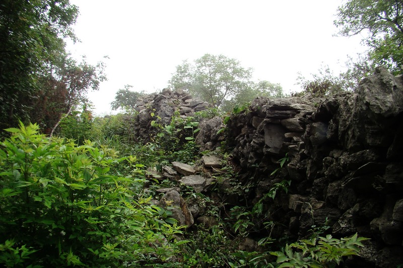 dsc07498.jpg