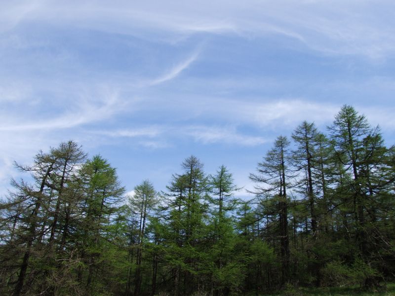 dscf7394.jpg