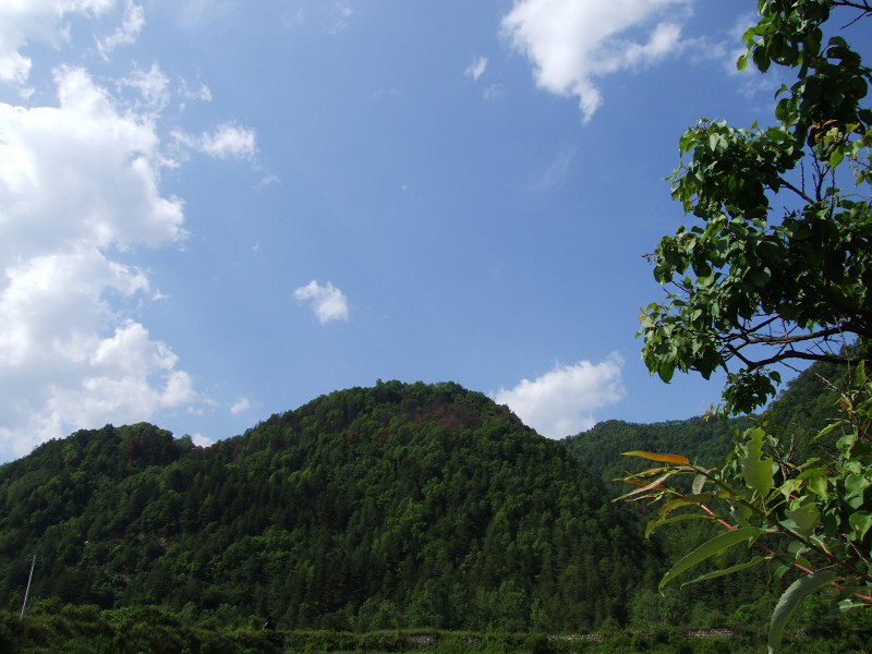 dscf7379.jpg