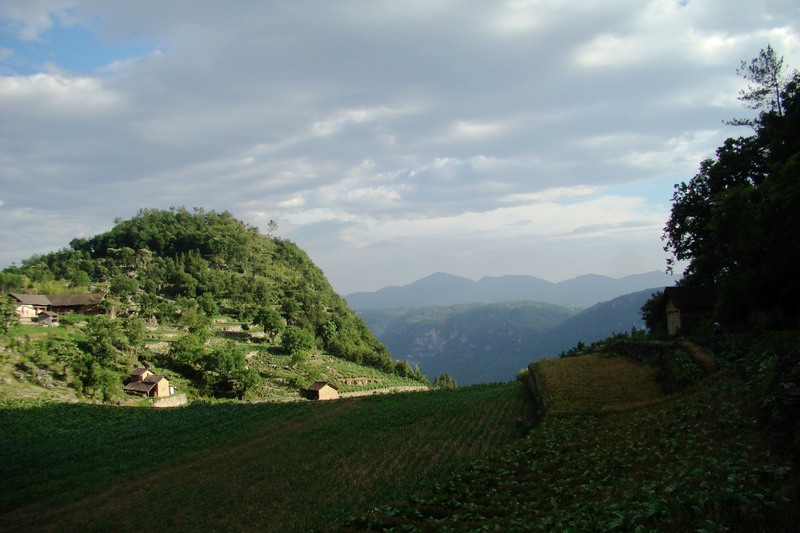 dsc07548.jpg