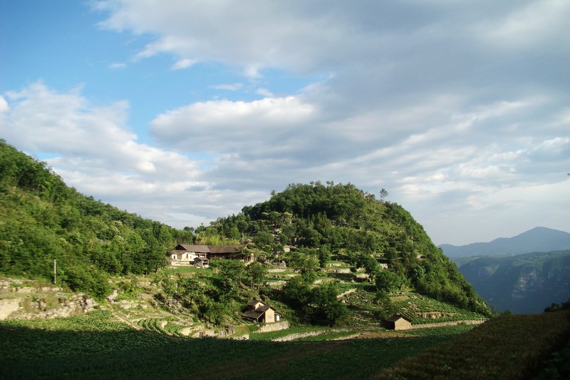 dsc07550.jpg