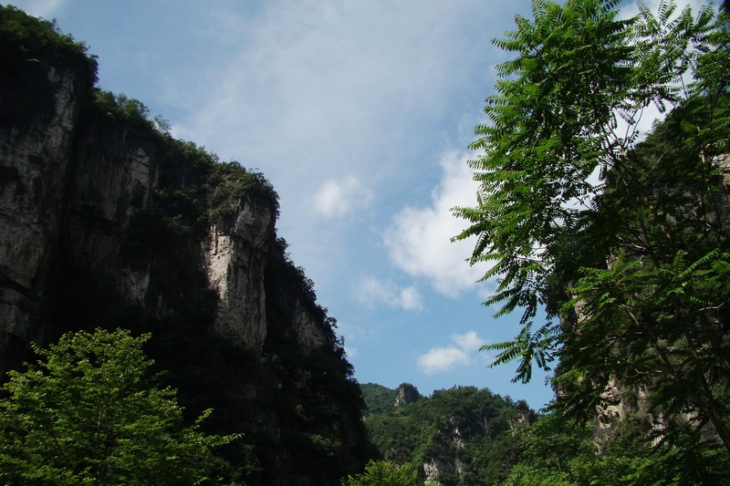 dsc07571.jpg