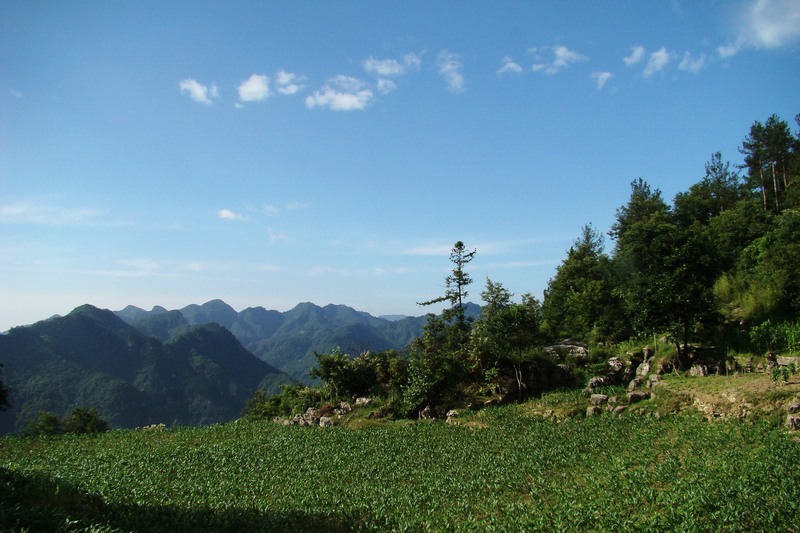 dsc07565.jpg