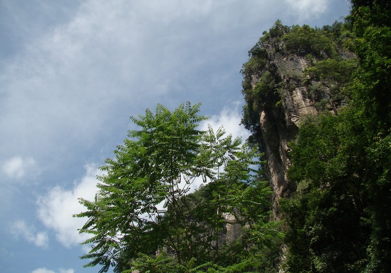 dsc07572.jpg