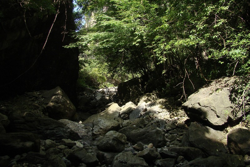dsc07580.jpg