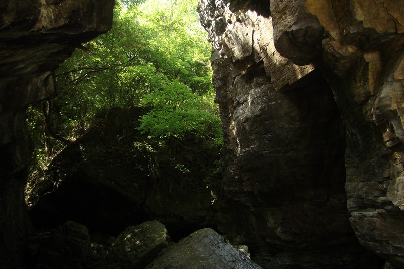 dsc07581.jpg