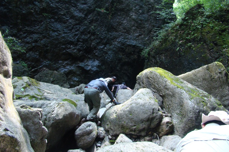 dsc07587.jpg