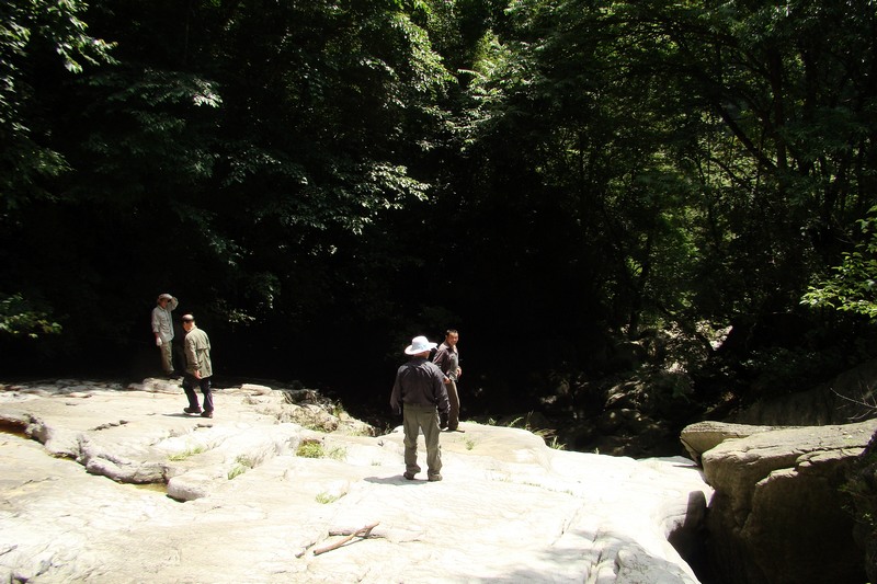 dsc07596.jpg