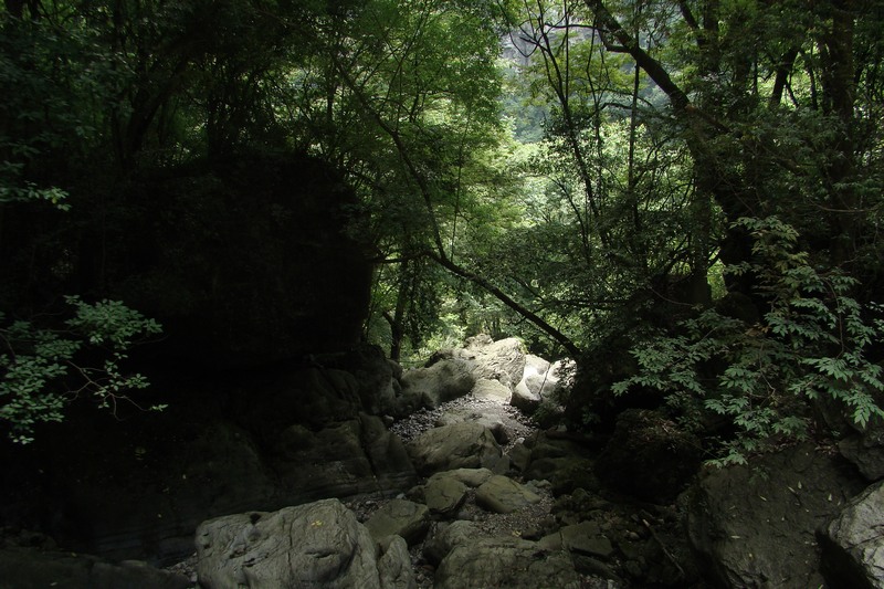 dsc07598.jpg