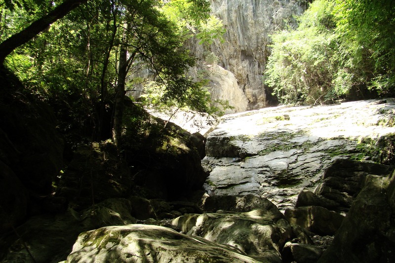 dsc07601.jpg