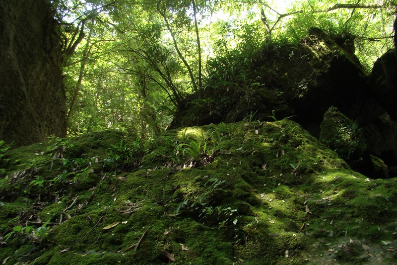 dsc07608.jpg