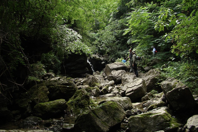 dsc07626.jpg