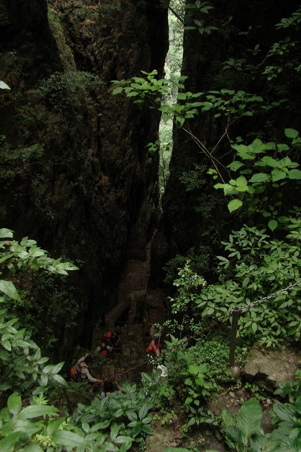 dsc07641.jpg