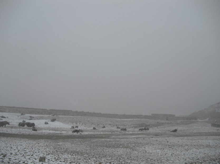 68.jpg