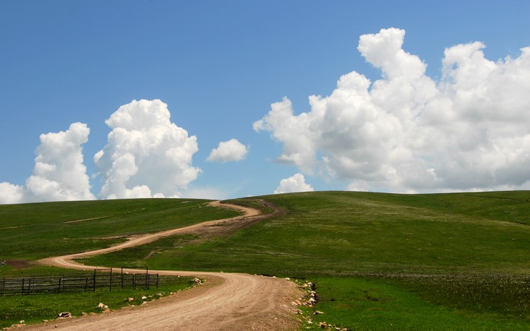 dsc_0060.jpg