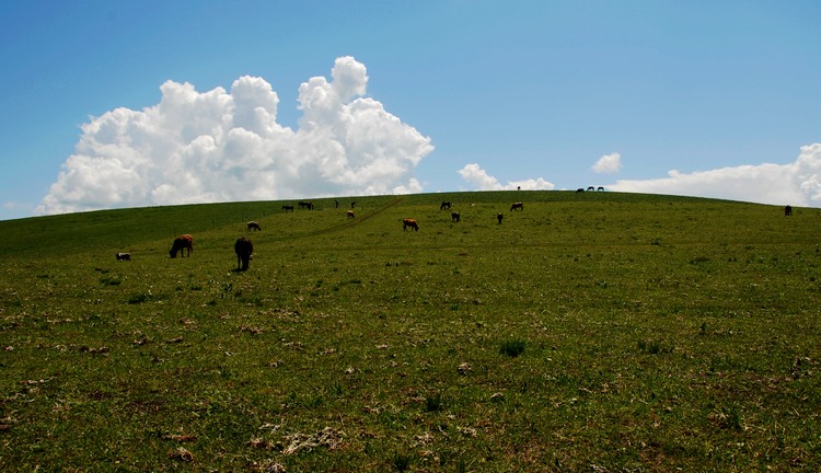 dsc_0040.jpg