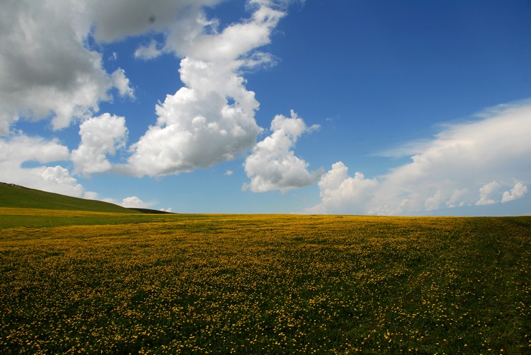 dsc_0080.jpg