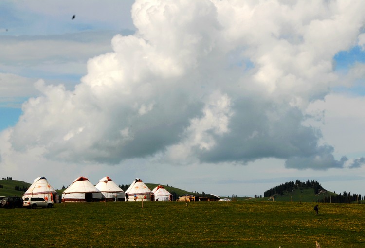 dsc_0138.jpg