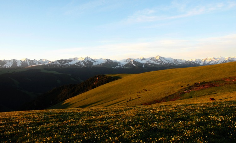 dsc_0328.jpg