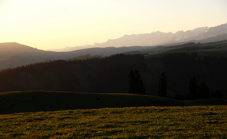dsc_0325.jpg