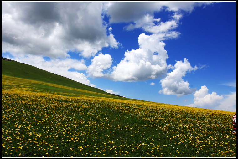 neo_img_img_2781 (1).jpg