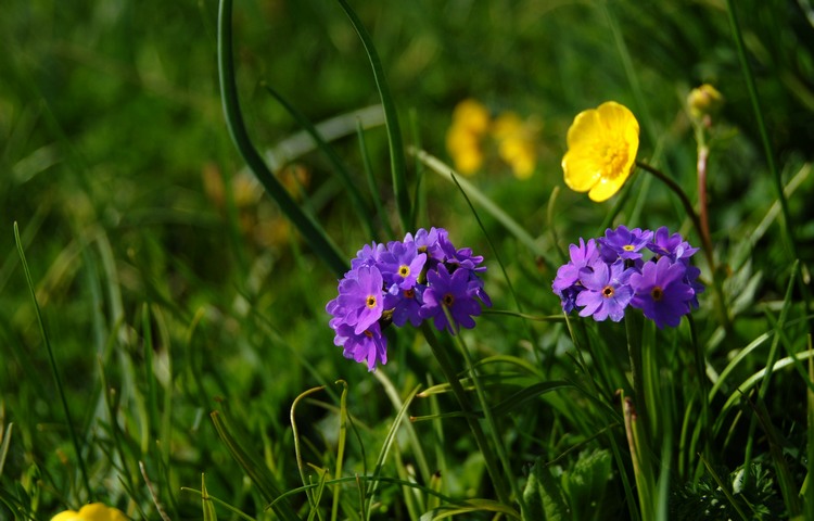 dsc_0140.jpg
