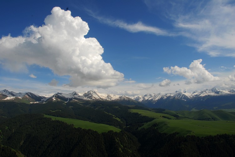 dsc_0170.jpg